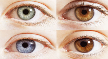 Цвет глаз у человека - от чего зависит, как определить у ребенка